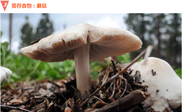 微信截圖_20161213164458.png